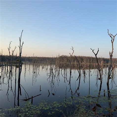 BARNAWAPARA WILDLIFE SANCTUARY - All You Need to Know BEFORE You Go ...