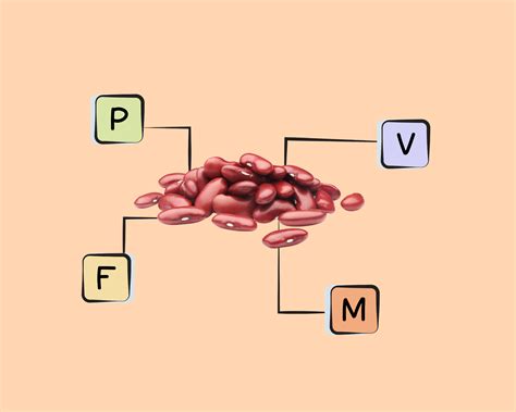 Red Kidney Bean Nutrients