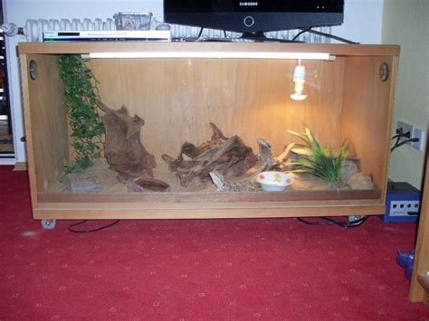 Verkaufe Bartagamen mit Terrarium und viel zubehör in nussloch | Tiere ...