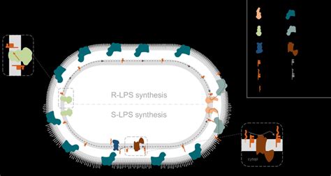 LPS Algorithm 的图像结果