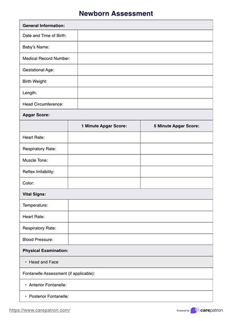 Newborn Reflexes Assessment & Example | Free PDF Download