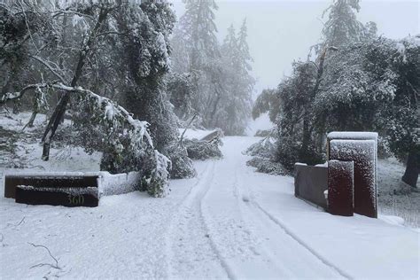 Record-Breaking Snow in California Wine Country | Wine Enthusiast
