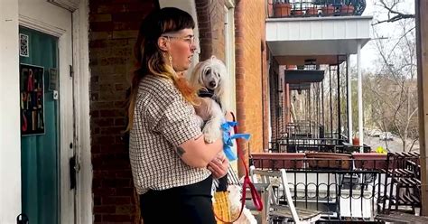 Interdiction des animaux dans les logements: une personne locataire de ...