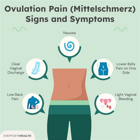 What Is Ovulation Pain (Mittelschmerz)?