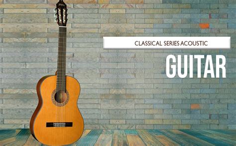 Washburn Classical Series Acoustic Guitar C40-U : Amazon.in: Musical ...