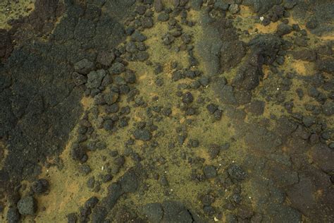 🌅 Цветные пляжи мира: лучшие пляжи с цветными песком и галькой | Черный ...