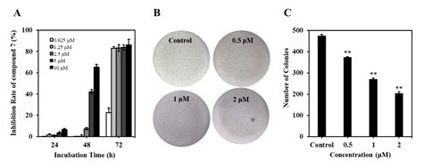 Semi-Synthesis, Cytotoxic Evaluation, and Structure—Activity ...