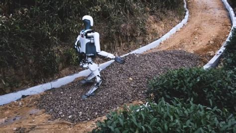 Humanoid Robotics 的图像结果