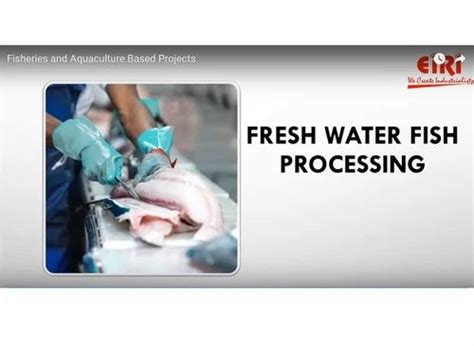 Multiple Project Reports in CD-ROMs - Fisheries and Aquaculture Project ...