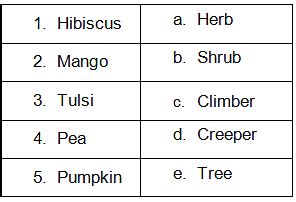 Plants Around Us - 1 Class 2 Worksheet Science