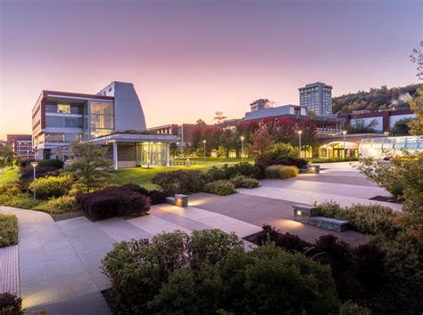 Admission to Ithaca College • Verto Education