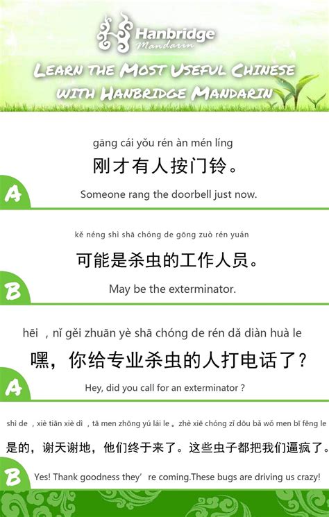 learn daily Chinese phrases with us Chinese Slang, Chinese Phrases ...