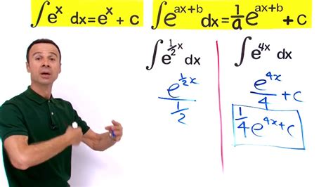 Introduction to Exponential Functions 的图像结果