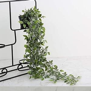 Buy PAPERI Artificial Hanging Plant for Home Decor – Balcony Decoration ...
