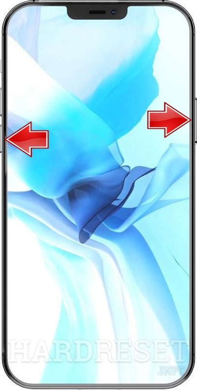 Image result for iPhone 12 Pro Max DFU Mode