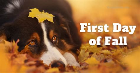 Bowerman Funeral Home | Munising MI