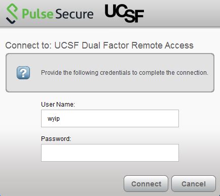 Pulse Secure Client 的图像结果