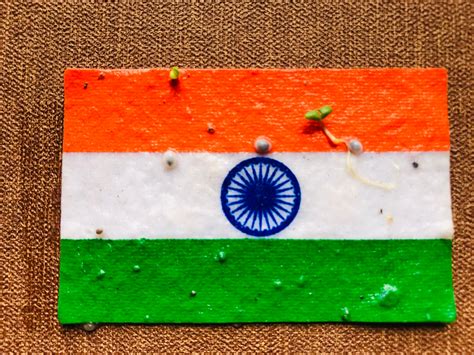 Plantable Seed Paper Flags – Seed Paper India