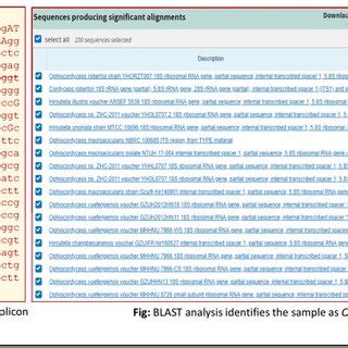 Image result for Forensic Botany DNA Barcoding