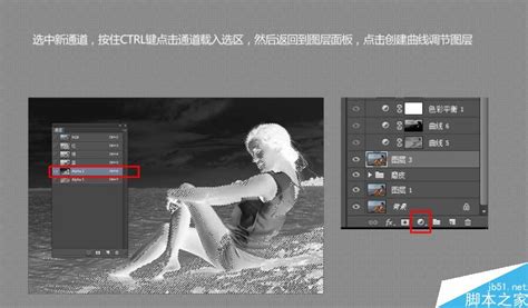 Photoshop抠图教程：使用计算命令轻松抠出白色羽毛的孔雀 - PSD素材网
