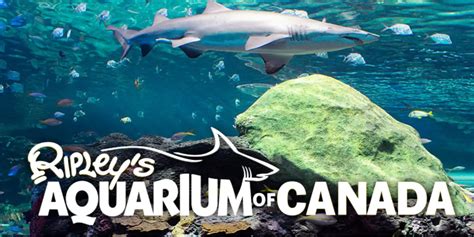 Ripley’s Aquarium Promo Codes for February 2026 - Retail Coupons