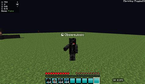 Image result for Reach Hack Client