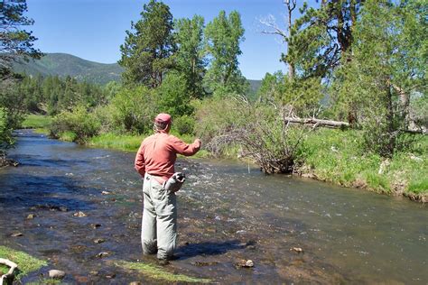 Fly Fishing the Cimarron River, New Mexico: A Comprehensive Guide