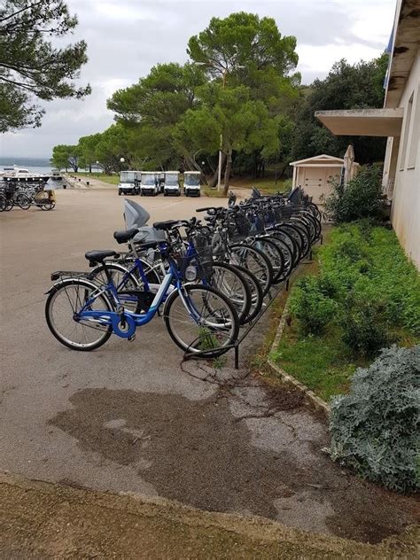 Bicycle rental and Electromobile, Brijuni (Shop / Service) - Veliki Brijun