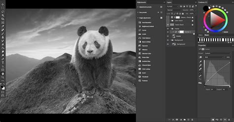 Compositing Tutorials 的图像结果