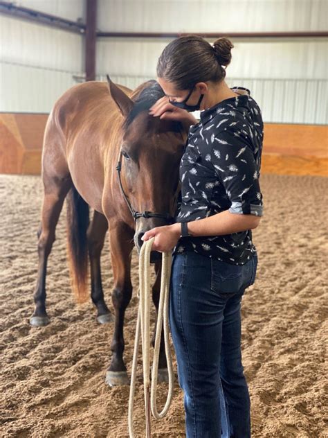 Command teams learn about resilience training at horse park | Article ...