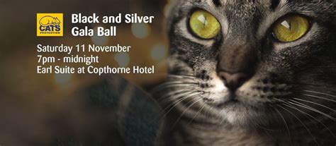 Black & Silver Gala Ball, Copthorne Hotel Merry Hill Dudley, November ...