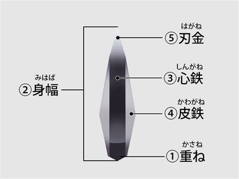 Image result for Alien Back for Slides