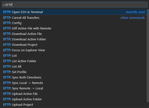 Image result for vs Code SFTP Build