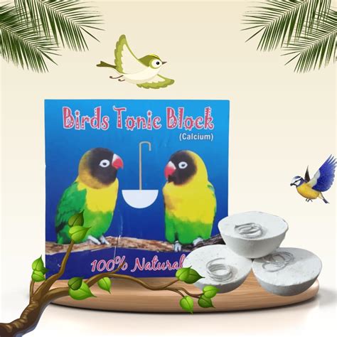 VAYINATO® 12 Pcs Birds Natural Calcium Mineral Tonic Block for Finch ...