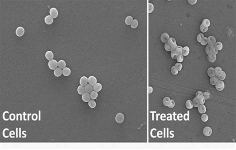 Indian Institute of Technology Roorkee