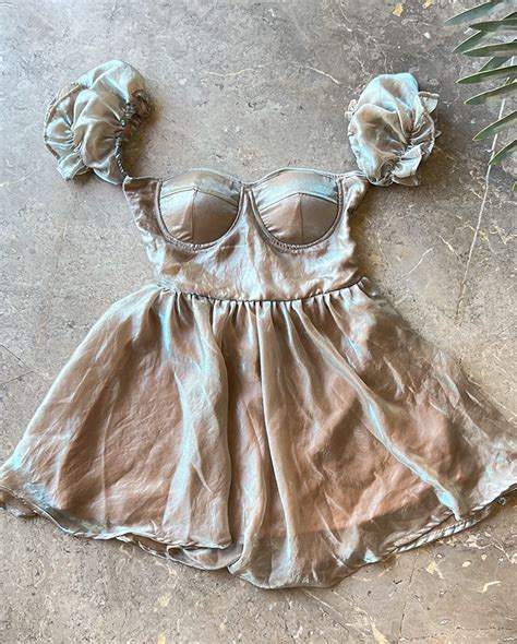 Fairy Tale Gudiya Organza Dress – Liyokki