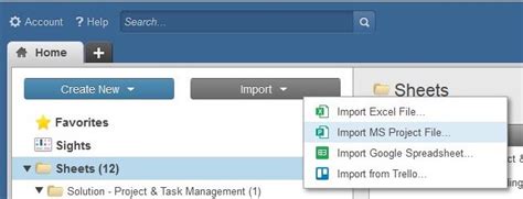 Image result for Open MPP File Project