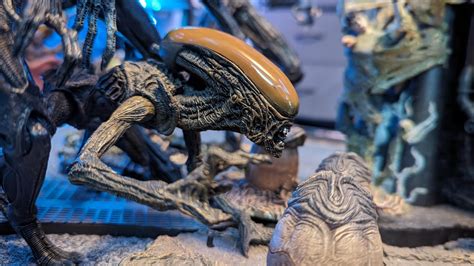 Image result for Alien Battle Macfaren