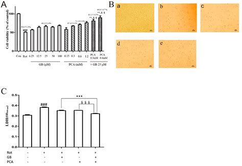 Synergistic Effects of Ginkgolide B and Protocatechuic Acid on the ...