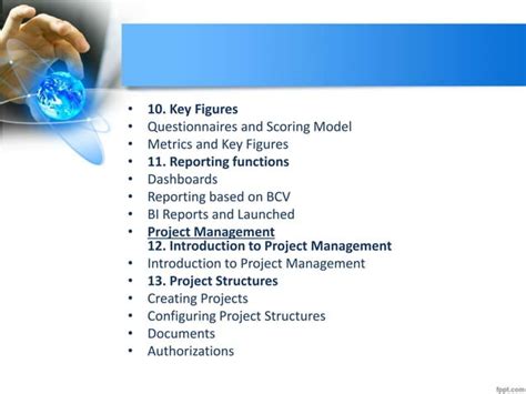 Image result for SAP PPM Training