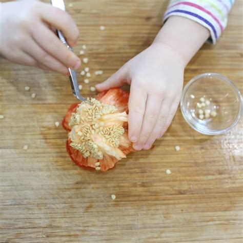 Science Activity 的图像结果