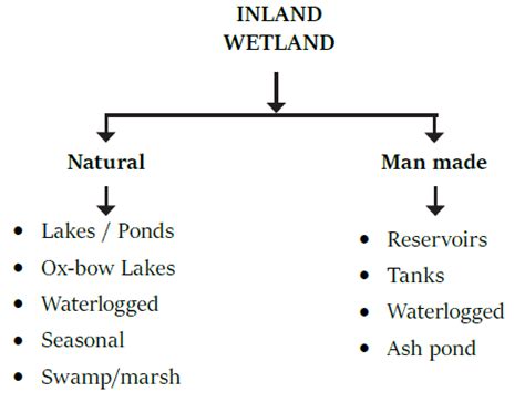 Inland Wetlands - Environment Notes