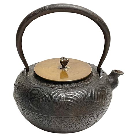 Antique Cast Iron Tea Kettle 7 at Isabel Spiegel blog