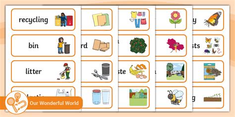 EYFS 'Our Wonderful World' Vocabulary Cards | Twinkl