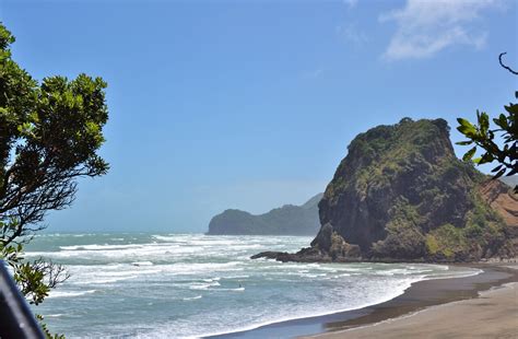 Coast and Rainforest Eco-Tour from Auckland with Lunch 2022 - Viator