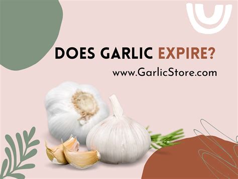 Does Garlic Expire? - Garlic Store