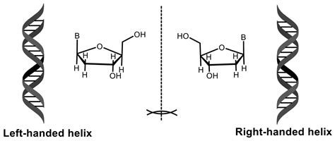 Phosphorus Compounds of Natural Origin: Prebiotic, Stereochemistry ...