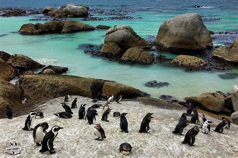 SWEETVELD SAFARIS (2025) All You Need to Know BEFORE You Go (with ...