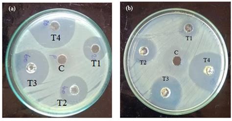 Synthesis and Characterization of Mithun (Bos frontalis) Urine-Based ...