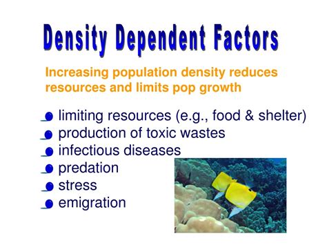 PPT - Ecology: Interaction of Organisms and Environments PowerPoint ...